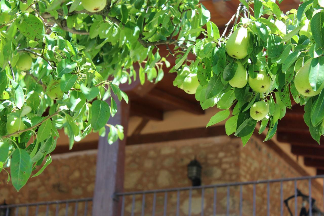 Гостевой дом Complejo Rural La Coronilla Харандилья-де-ла-Вера Экстерьер фото